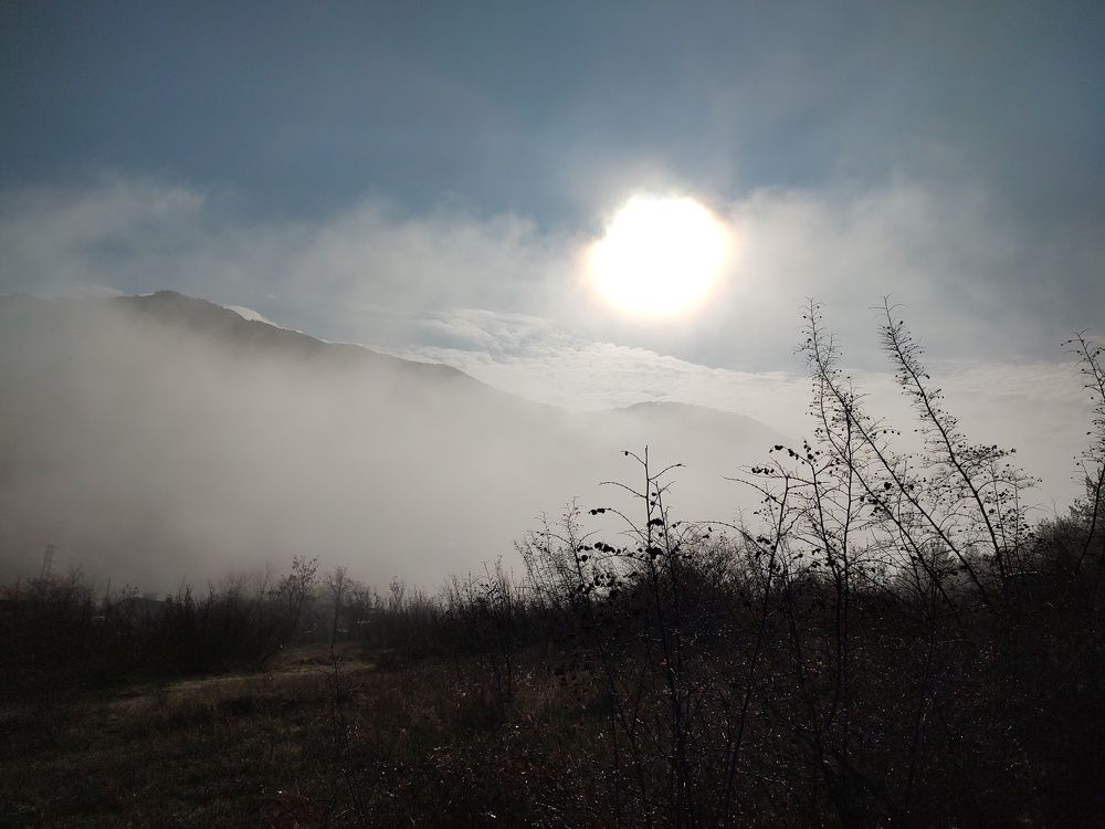 Photo #9207202