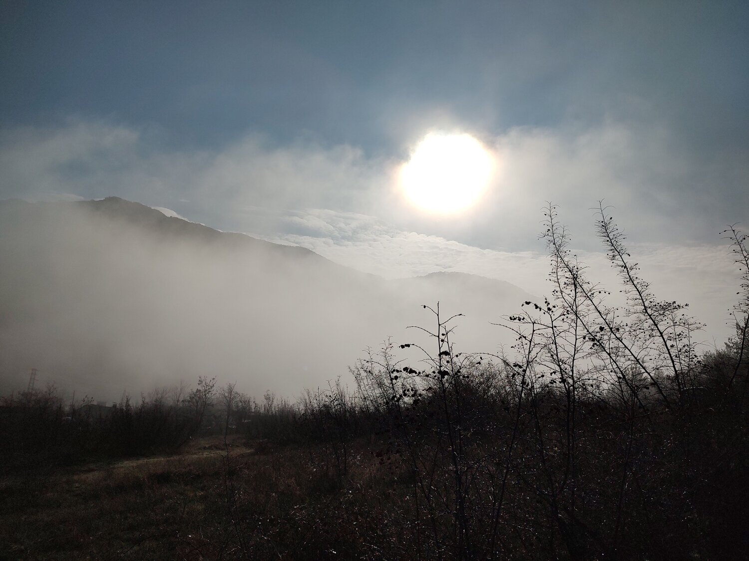Photo #9207202