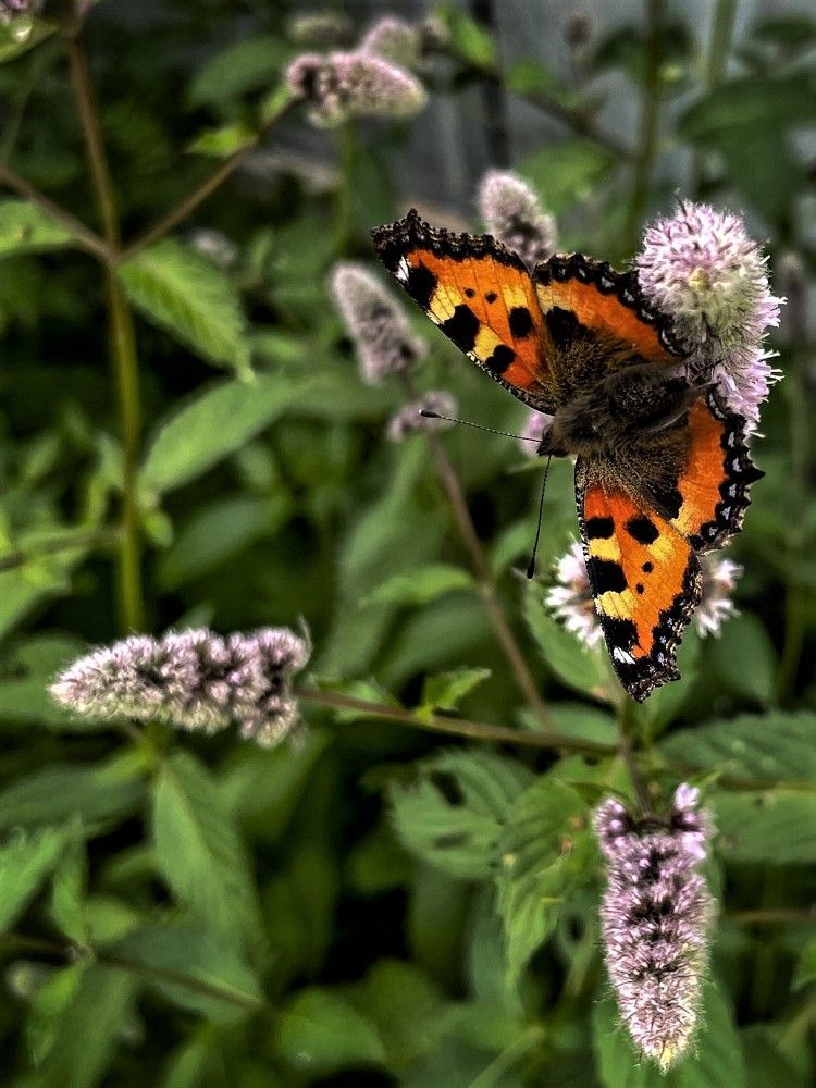 Photograph by Iuliia Akhulkova