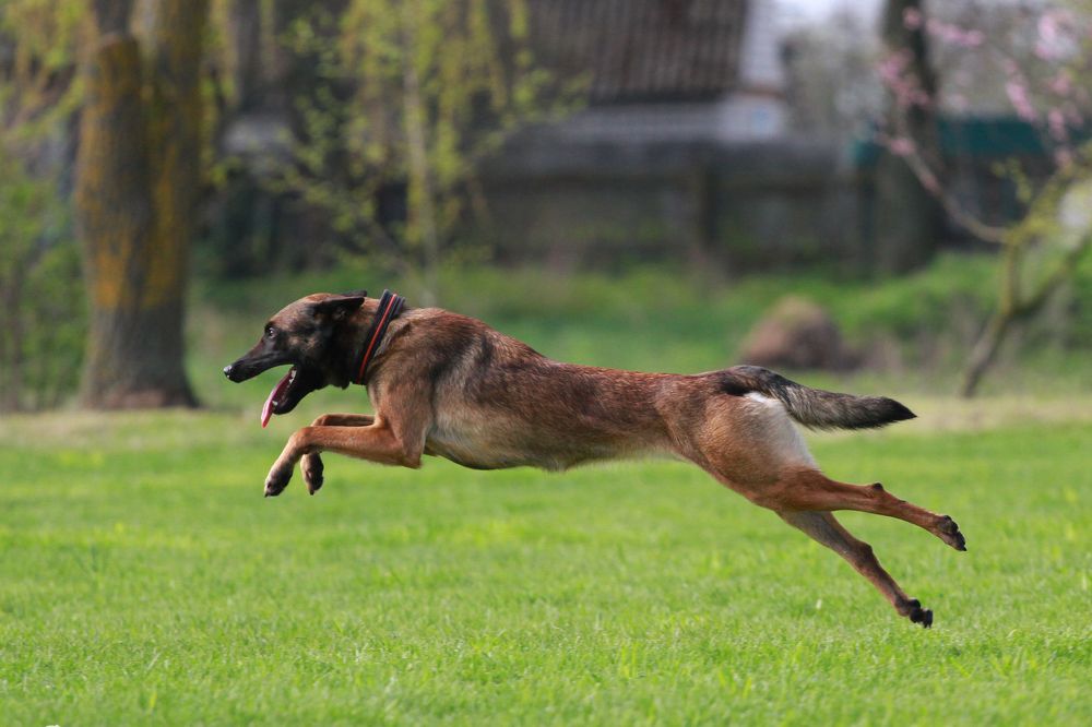 Фотография автора Анна Яковенко