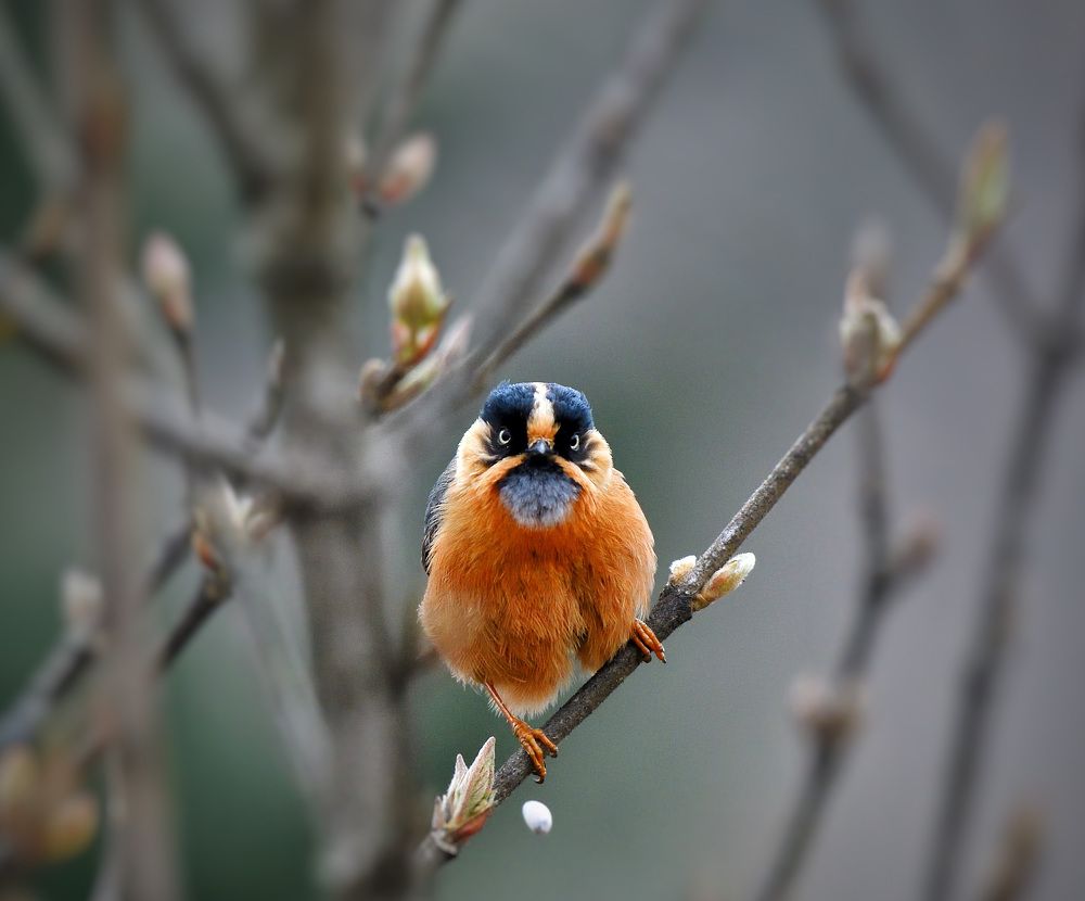 Photograph by Prasenjit Banerjee