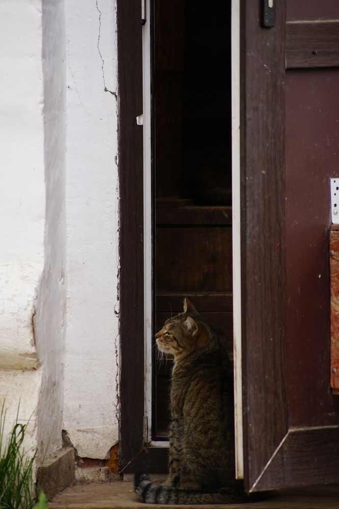 Photograph by Гюзель