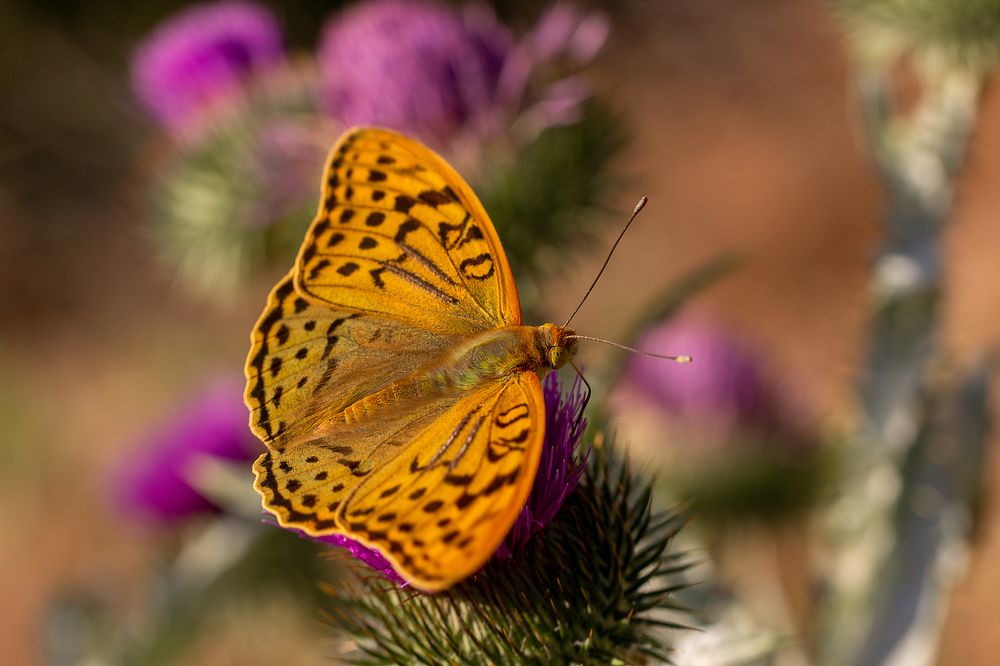Photograph by Nastya Perekhodkina