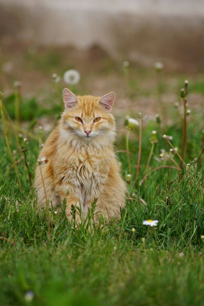 Photograph by Гюзель Даугуль