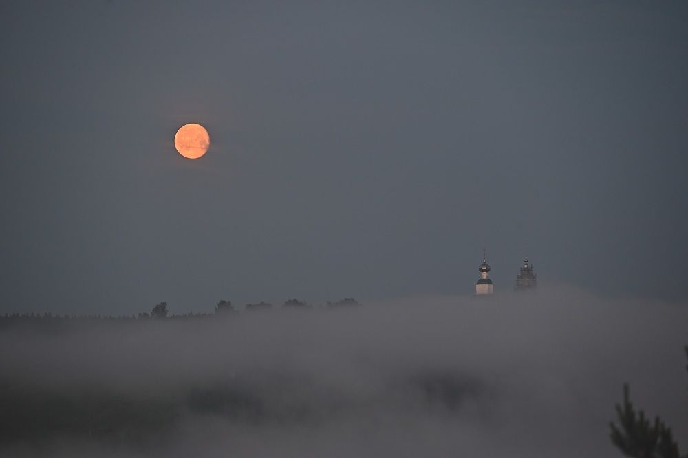 Photograph by Сергей Зубов