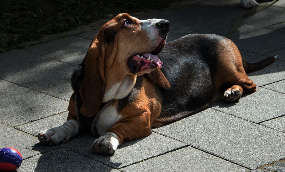 Photograph by Владимир Безбородов