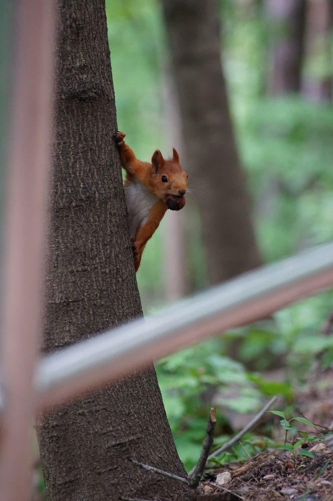 Photograph by Гюзель Даугуль