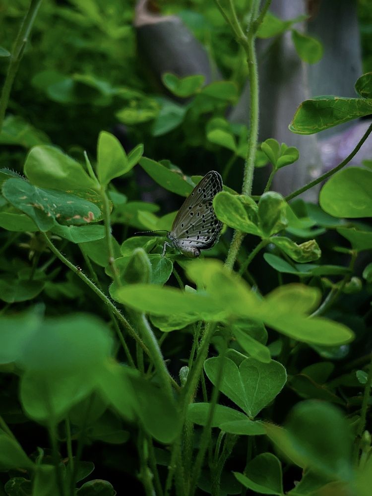 Photograph by Nahid Al Islam