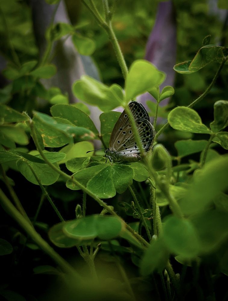 Photograph by Nahid Al Islam