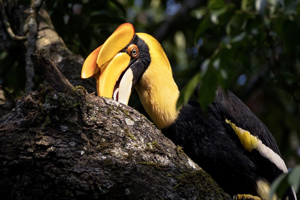 Photograph by k Ravi Reju