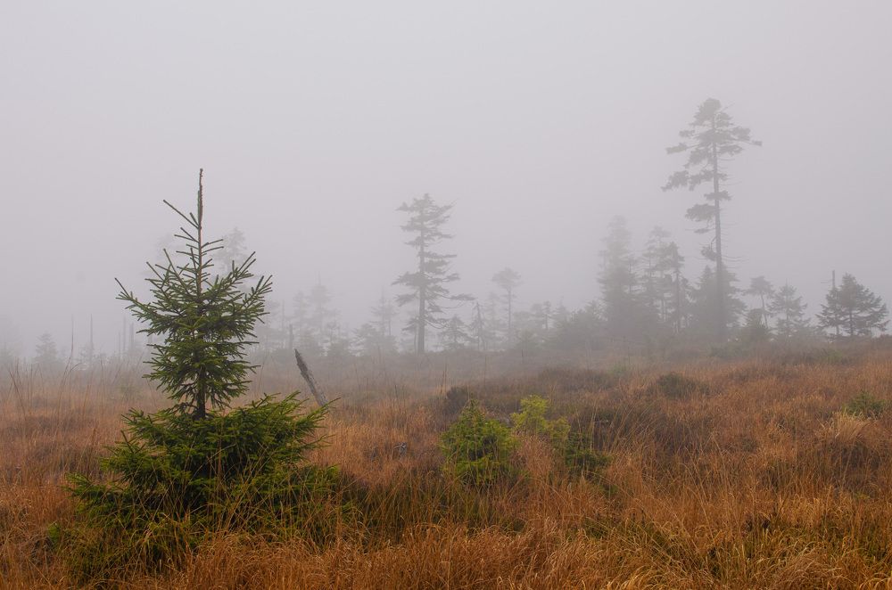 Photograph by Oleg Yashin