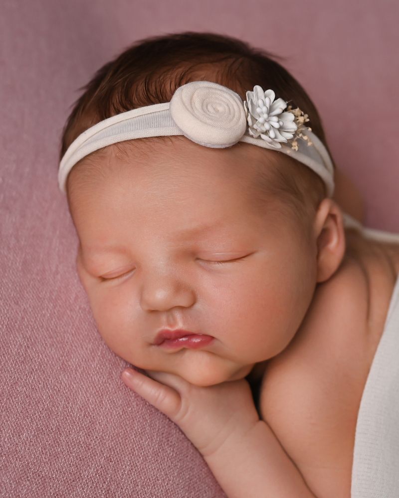 Photograph by Alexandra Whelan