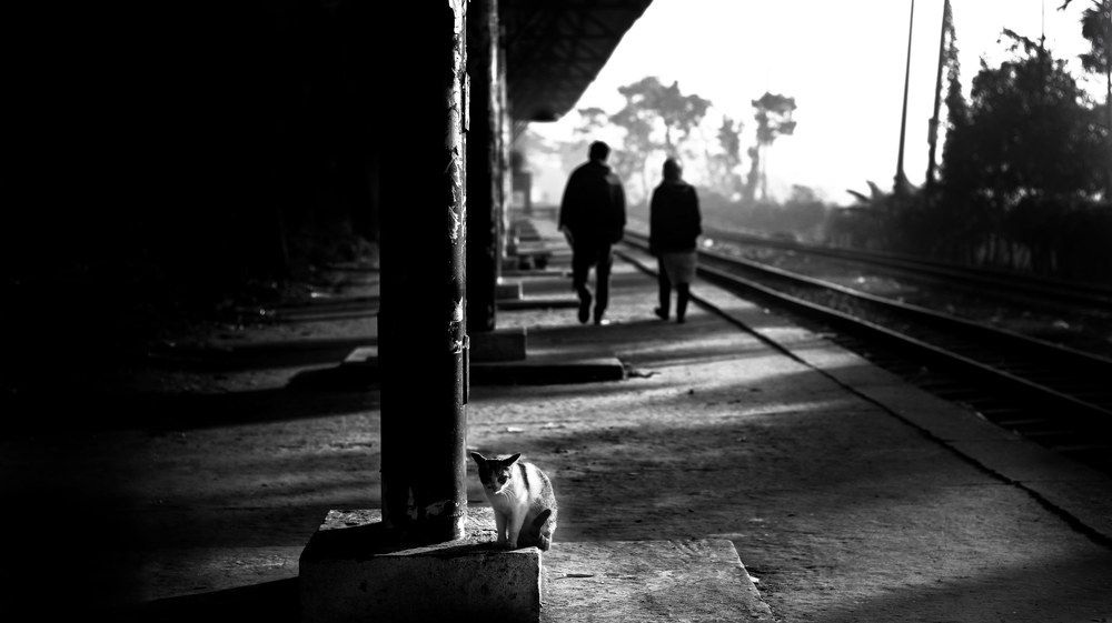 Photograph by Jamil sharafat