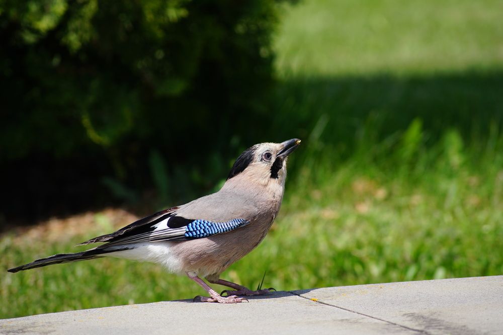 Photograph by Гюзель Даугуль