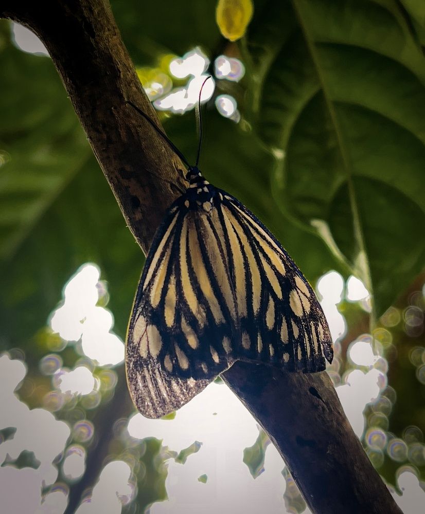 Photograph by Nahid Al Islam