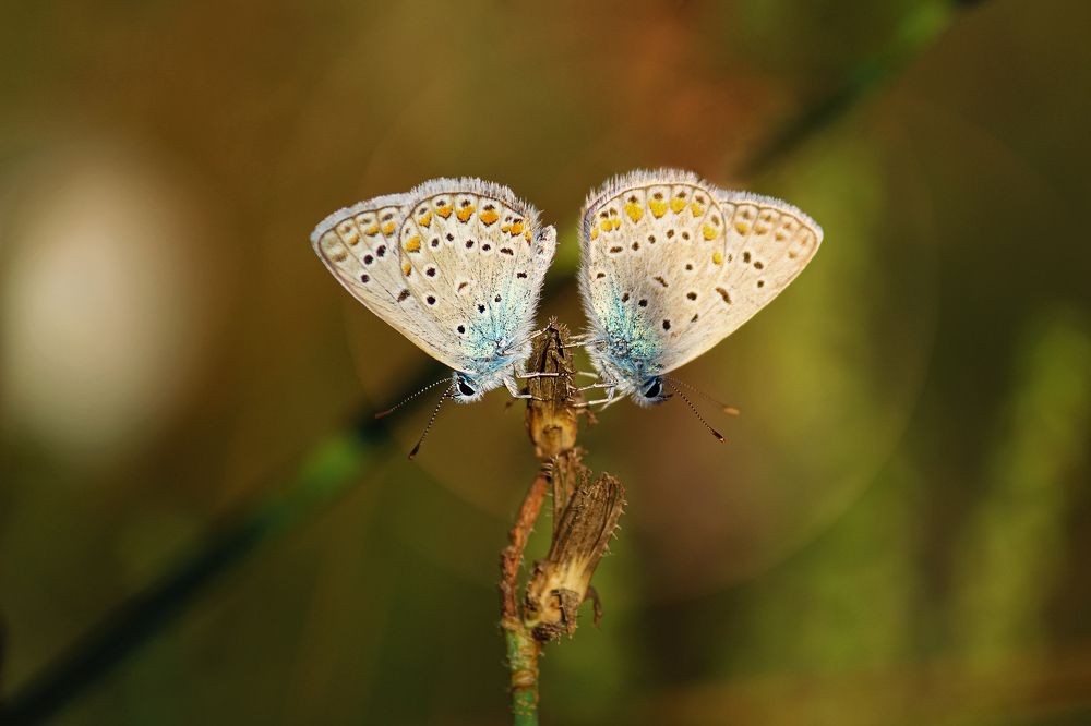 Photograph by Zheleznova Dina