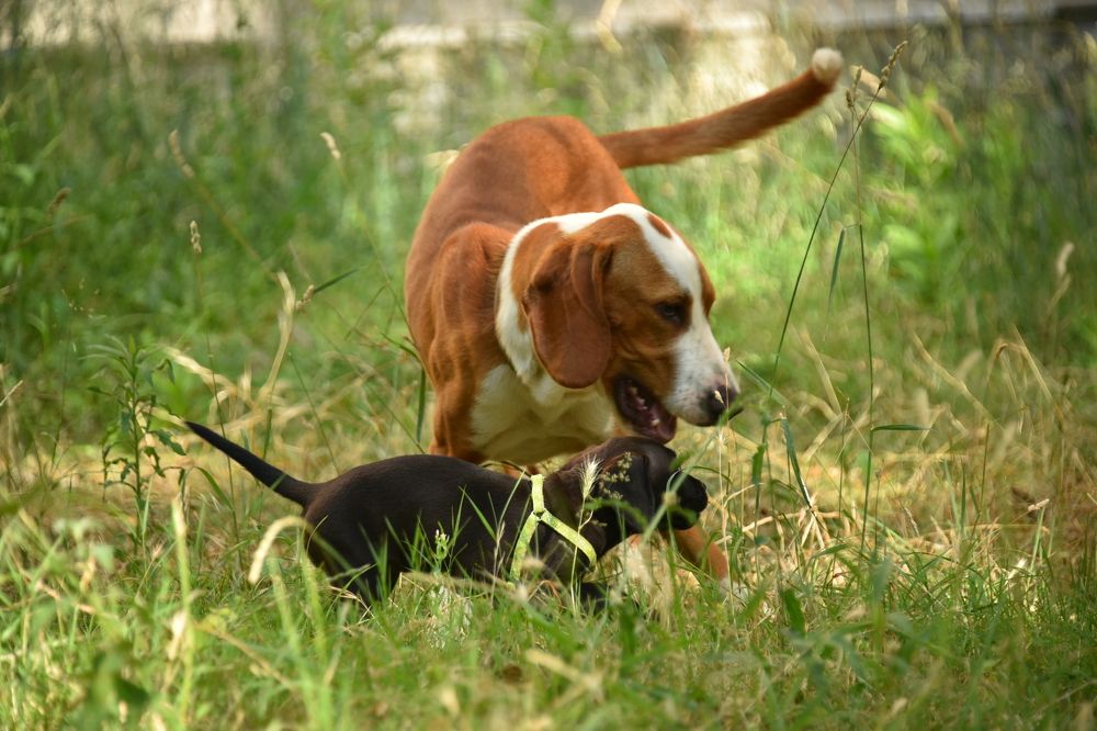 Photograph by Anna Zelinskaya