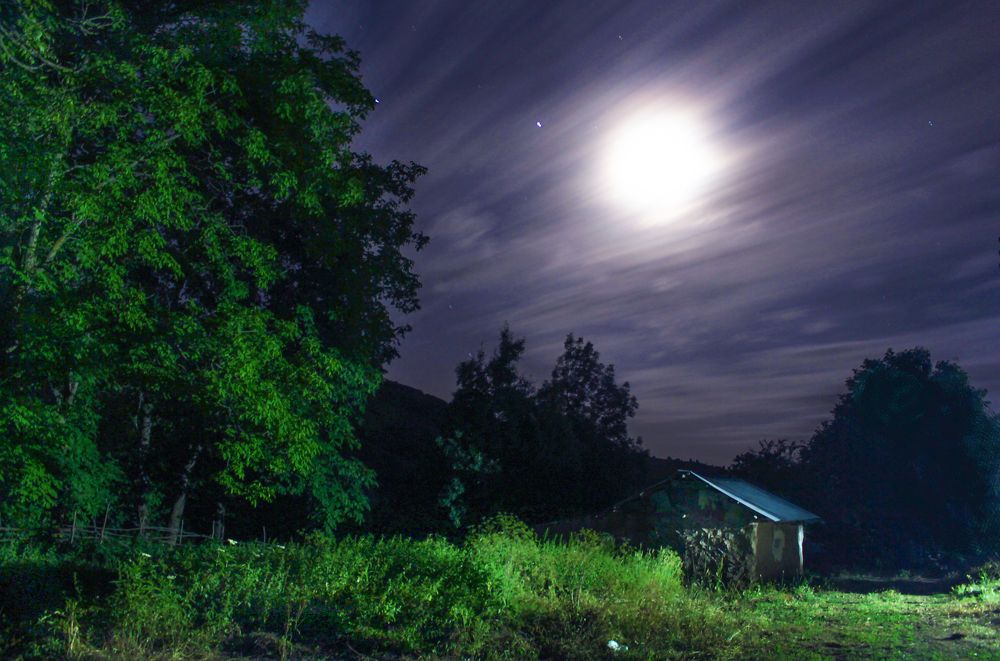 Фотография автора Vahid Basiri