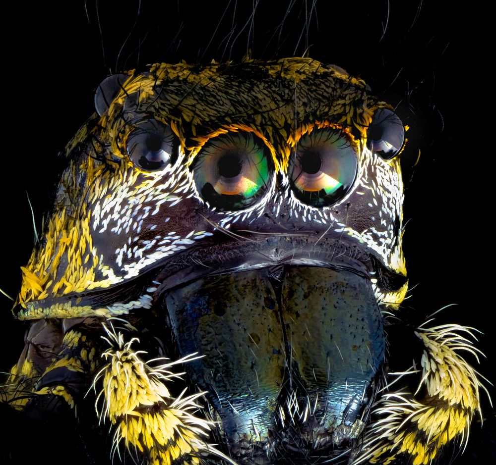 Photograph by Hardy Vargas Vasquez