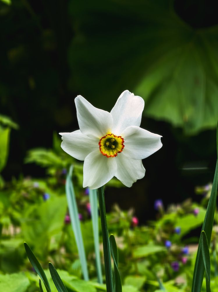 Photograph by Евгений Порсов