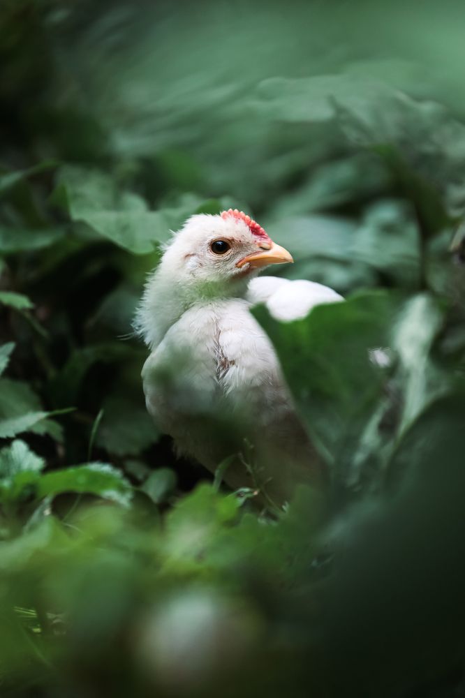 Photograph by Мария Ирешева