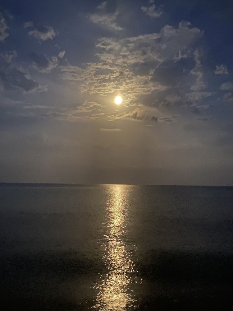 Photograph by Светлана Фесенко