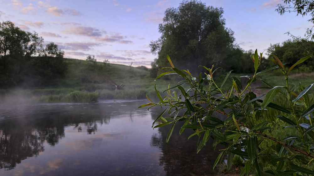 Photograph by Михаил Беляев