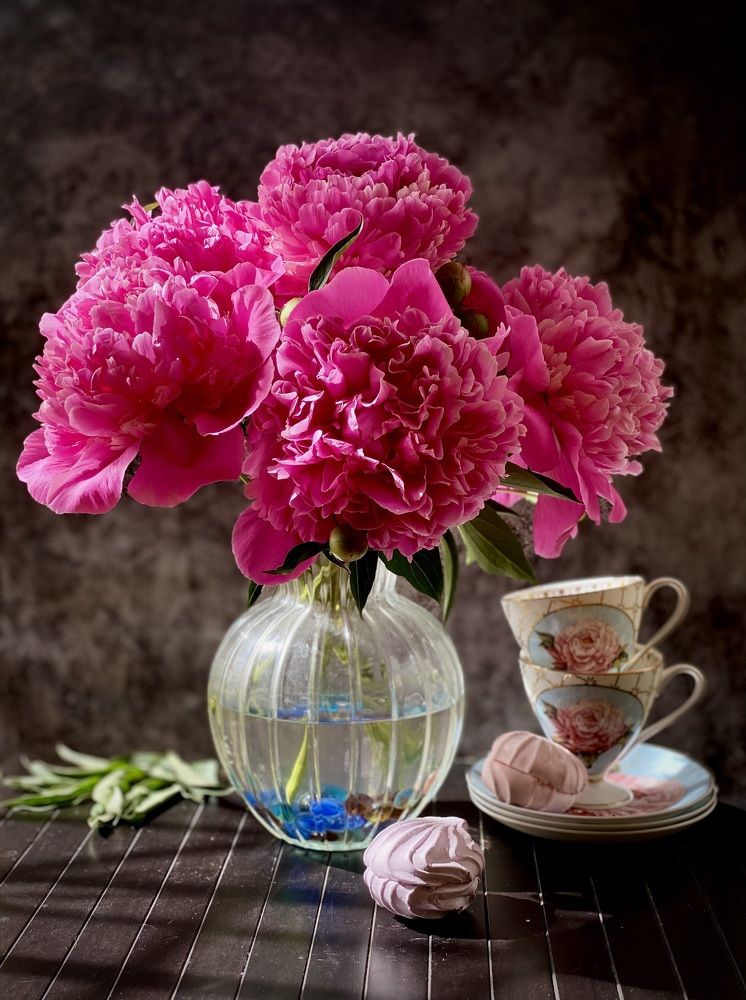 Фотография автора Evgeniya Ivanova