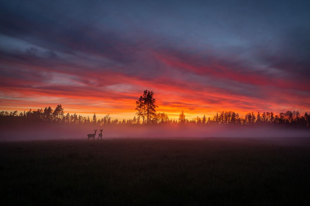 Photograph by Ilmārs Griķis