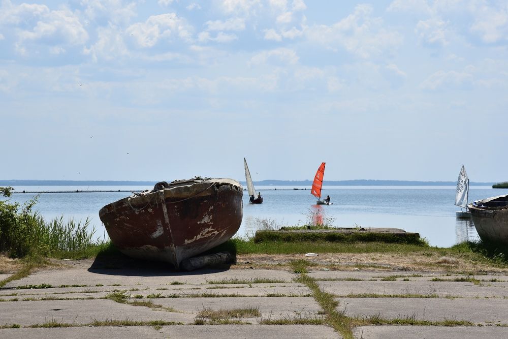 Молодые паруса.