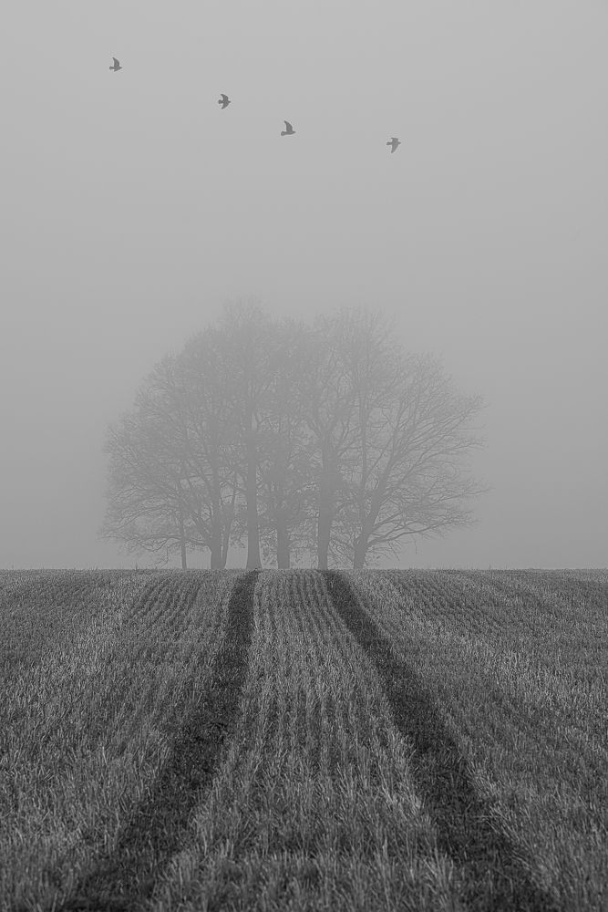 Photograph by Ilmārs Griķis