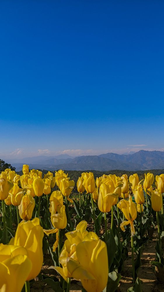 Photograph by Yadav Aeshvarya