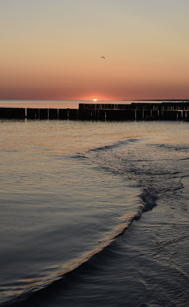 Зеленоградск. Рассвет