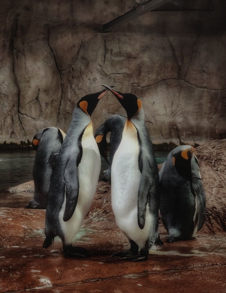 Фотография автора Laura Skwarek