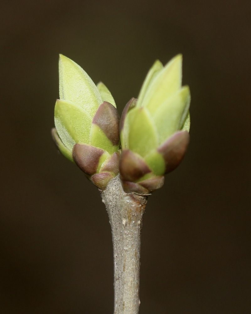 Photograph by Александр Затямин