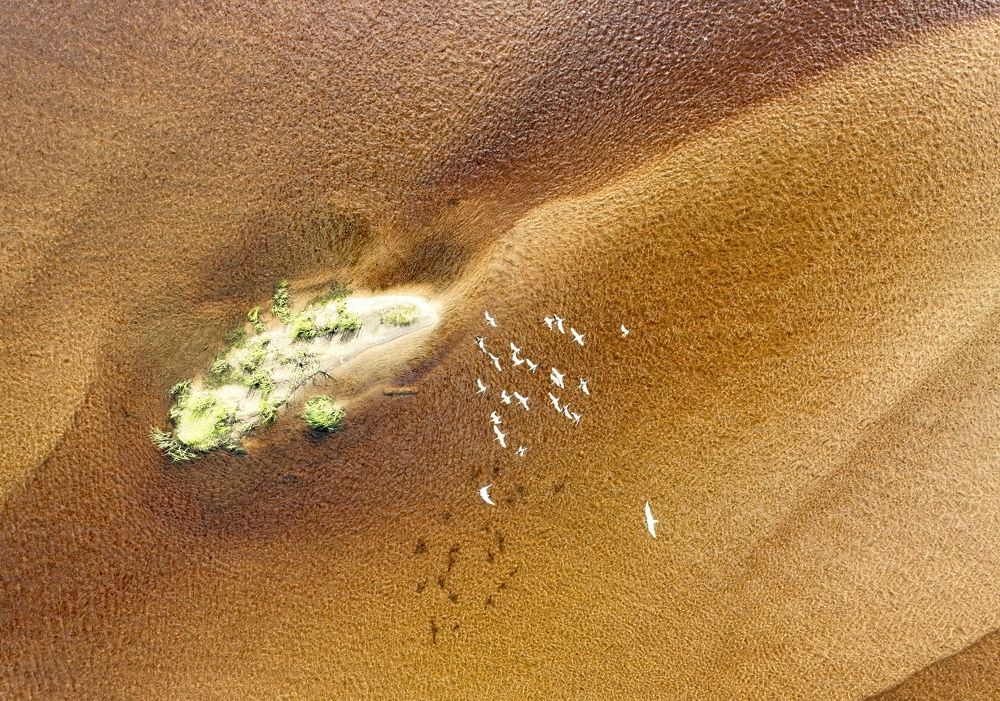 Photograph by Максим Григорьев