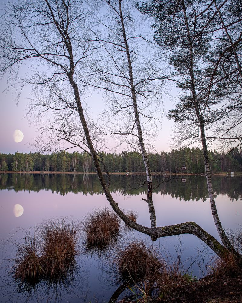 Photograph by Ilmārs Griķis