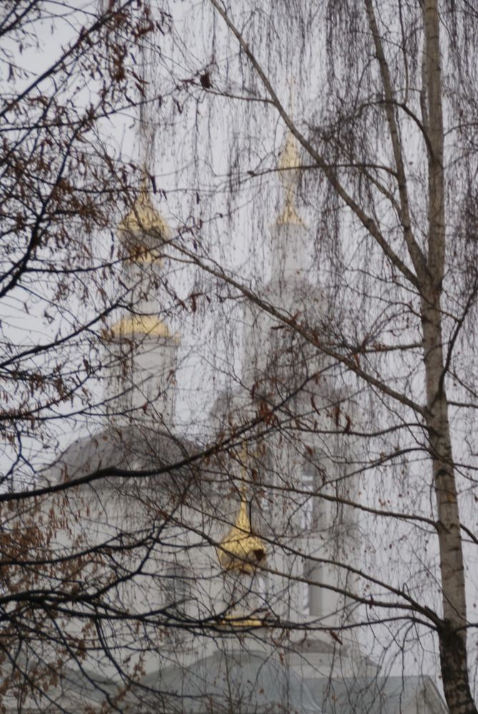 Photograph by Nadin Gaaze