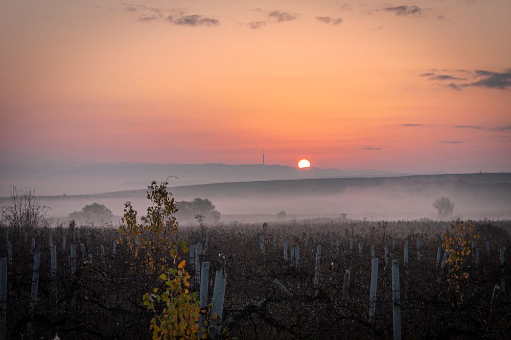 Photograph by Сергей Христинич