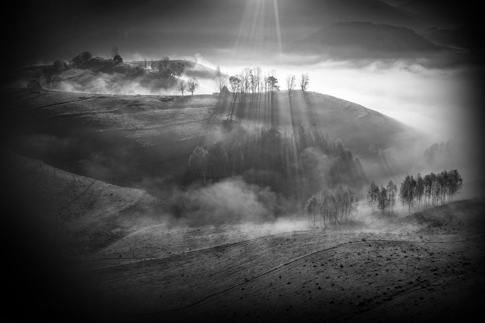 Photograph by Alexandru George