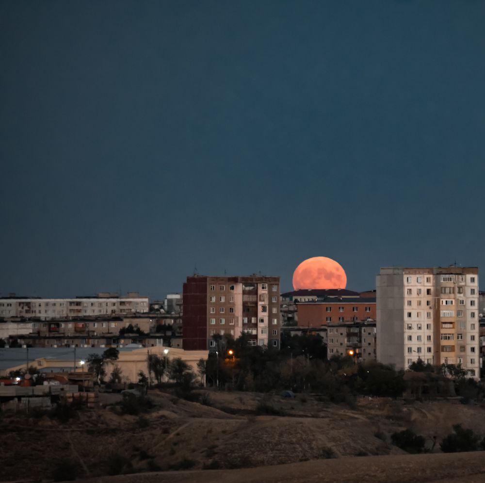 Photograph by Ирина Ворожейкина