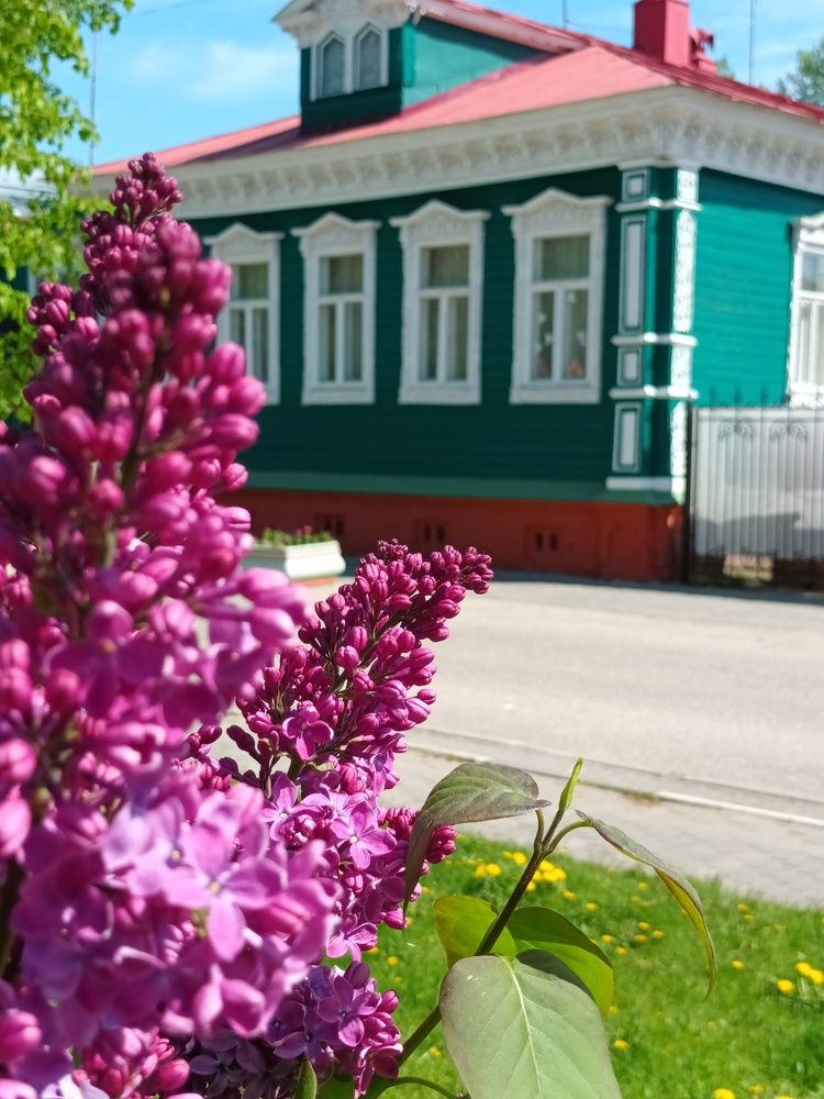 Photograph by Любовь Хлупина