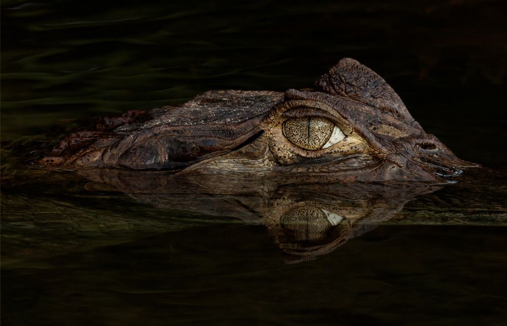 Photograph by Valdir Hobus