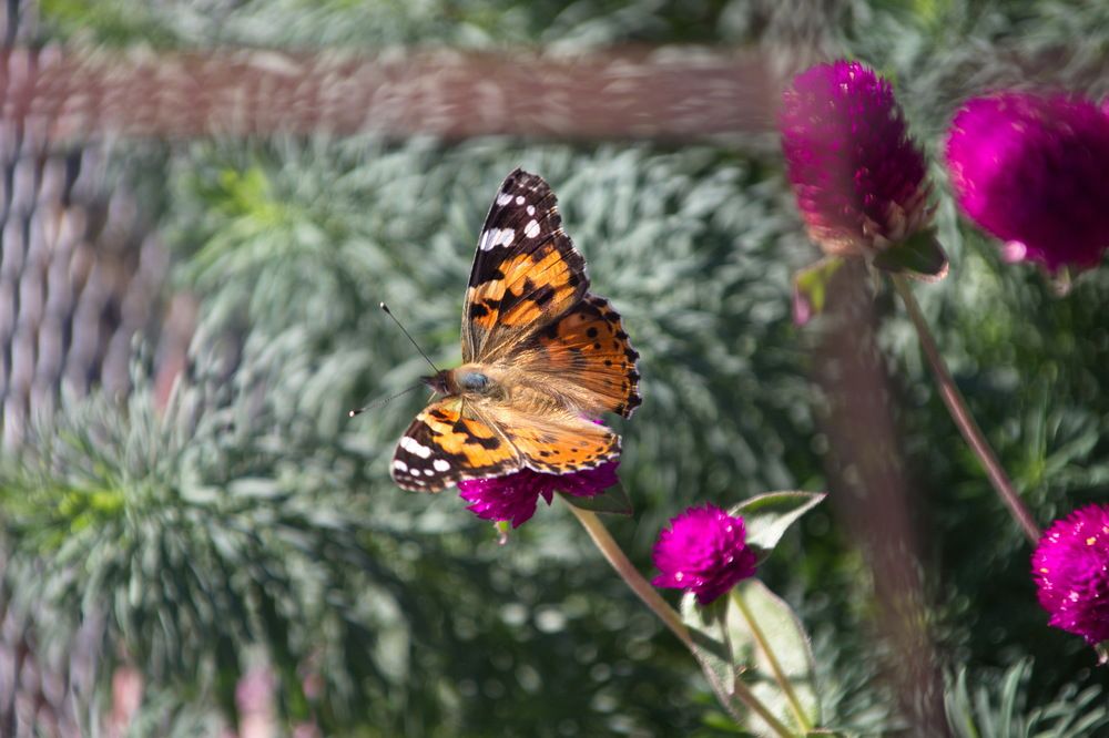 Photograph by Марина