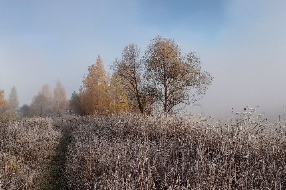Photo #9208050