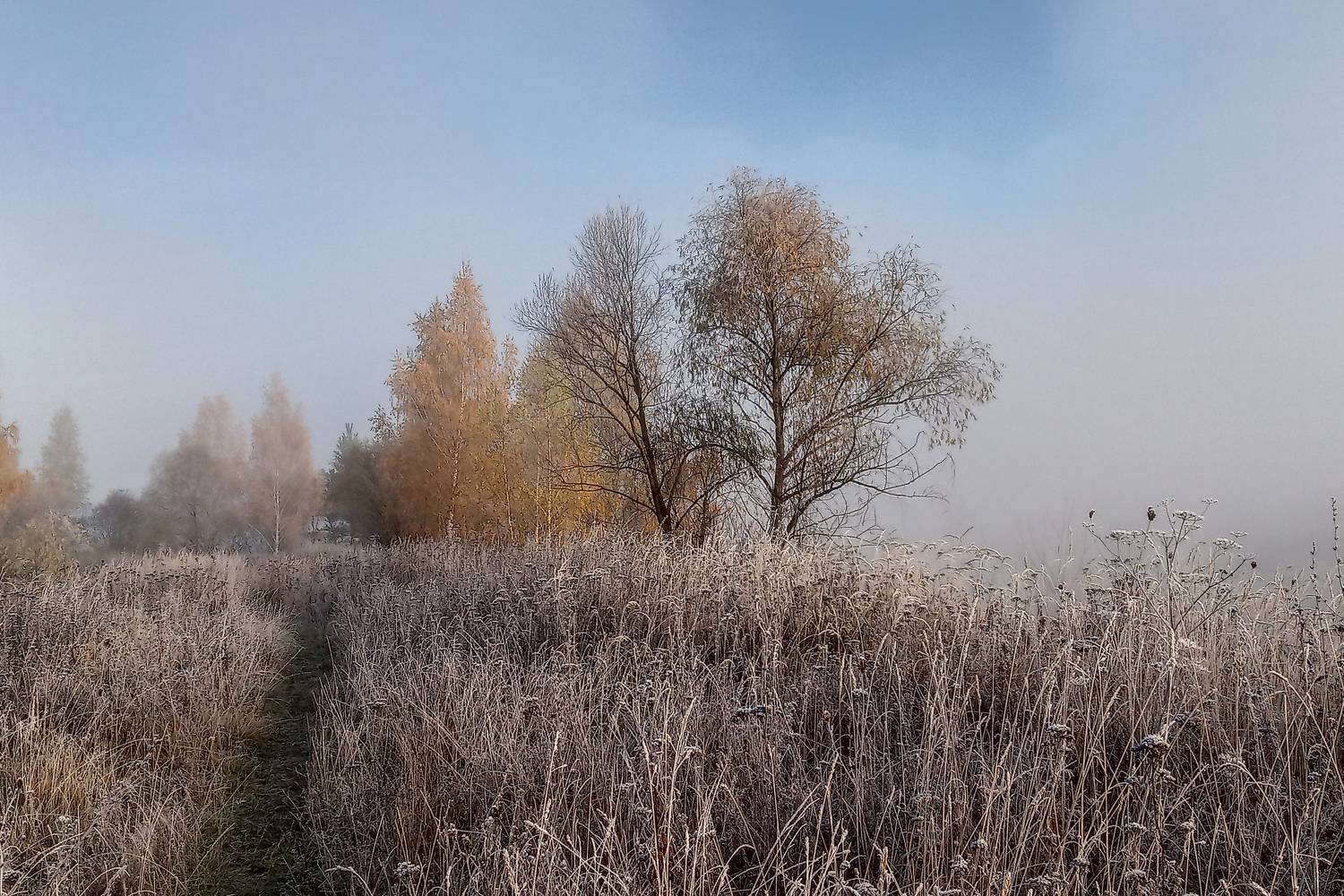 Photo #9208050