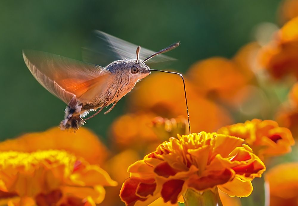 Photograph by Борис Новиков