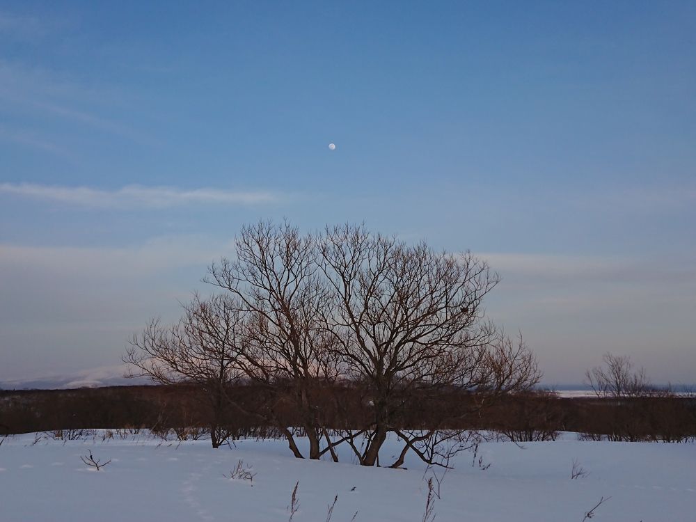 Photograph by Вероника Пакулова