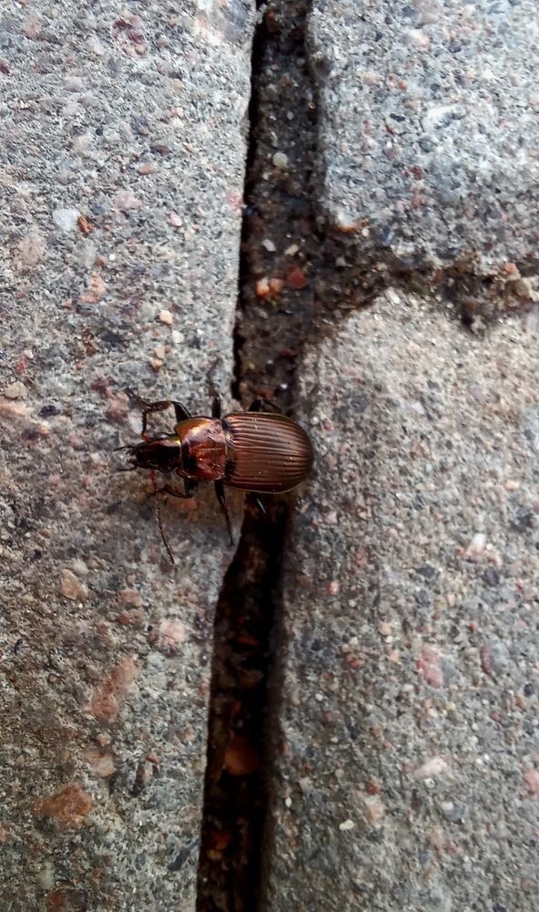 Photograph by Ольга Каковкина