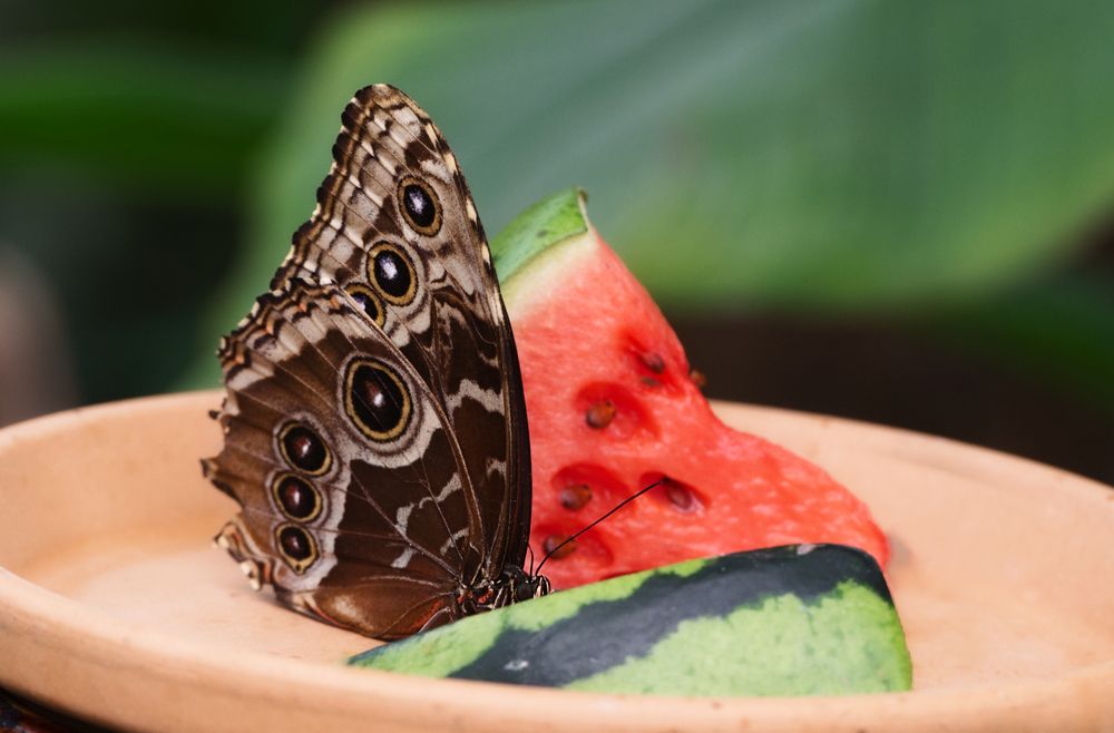 Фотография автора Андрей Неденко